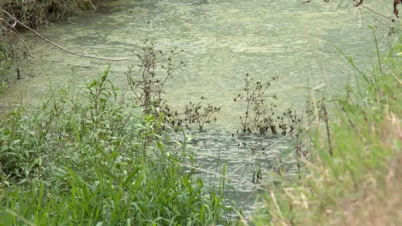 Hoofdafbeelding voor artikel Opheffing tijdelijk onttrekkingsverbod…