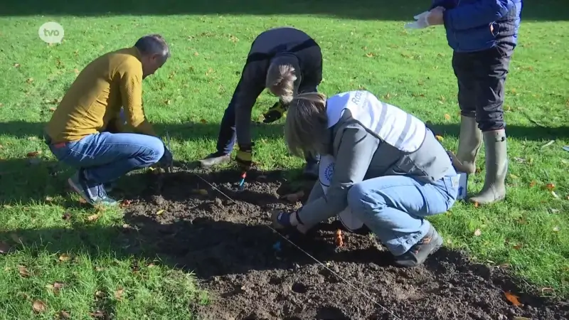 Hoofdafbeelding voor artikel Vijf Wase Rotaryclubs planten…