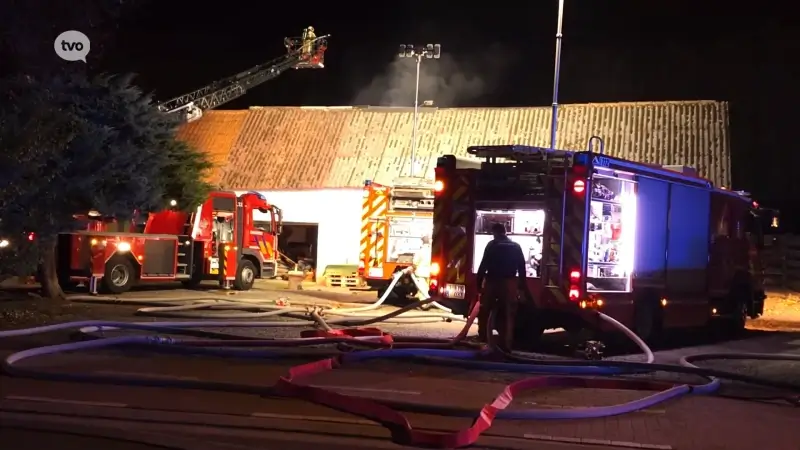 Hangar loopt zware schade op bij brand in Hofstade