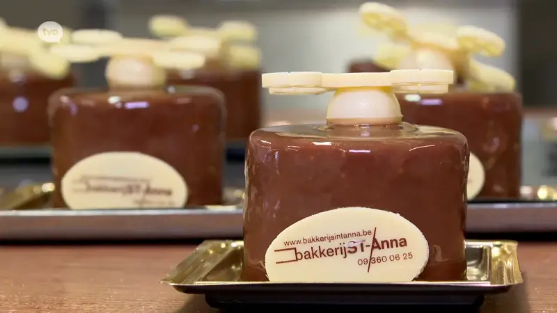 Hoofdafbeelding voor artikel Nu ook drones in Zottegem:…