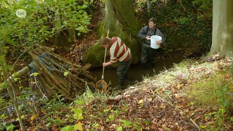 TV Provincie: De Oost-Vlaamse waterlopen waterkwaliteit en beheer