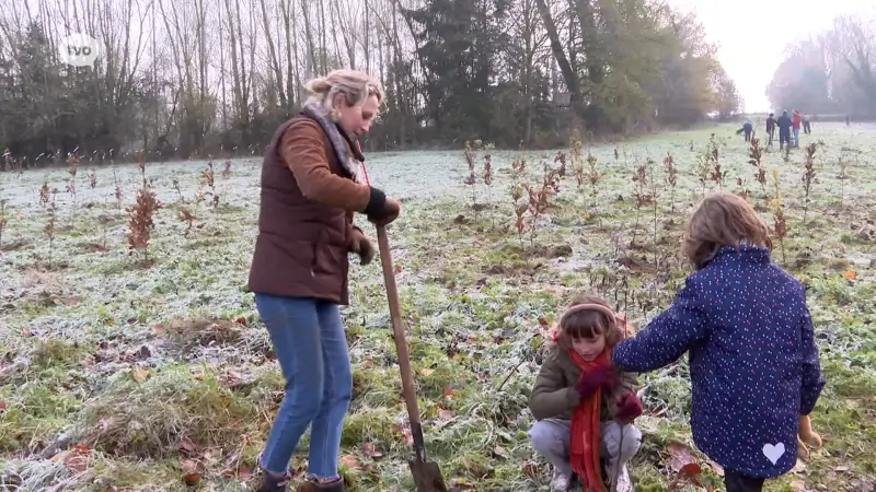 Hoofdafbeelding voor artikel 2.000 bomen vlakbij Bosberg…