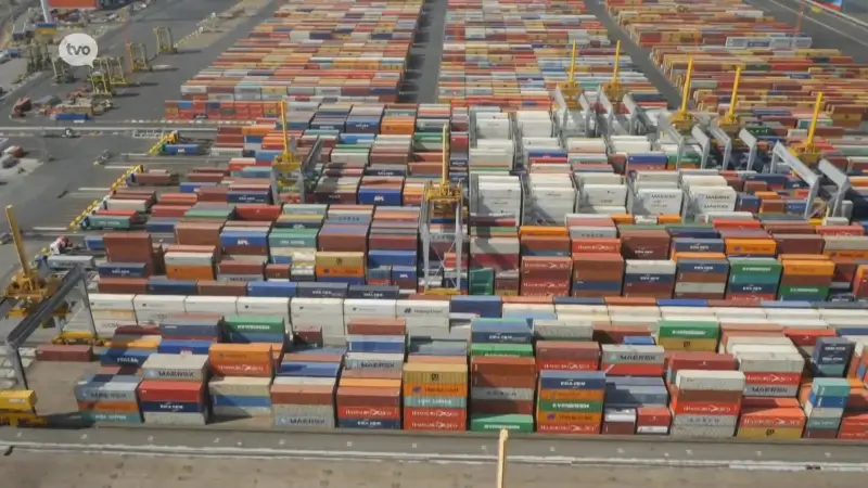 Hoofdafbeelding voor artikel Criminele organisatie uit…