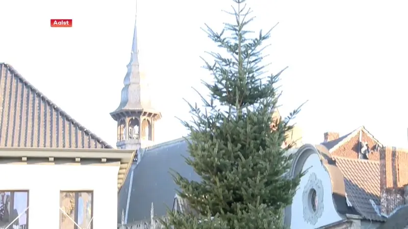 Hoofdafbeelding voor artikel )Kerstboom geplaatst op Grote…