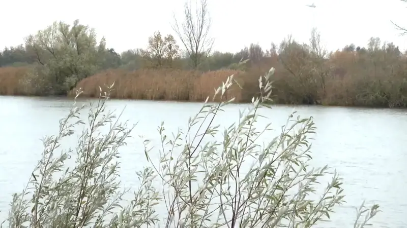 Hoofdafbeelding voor artikel Overstromingsgebied Vlassenbroek…