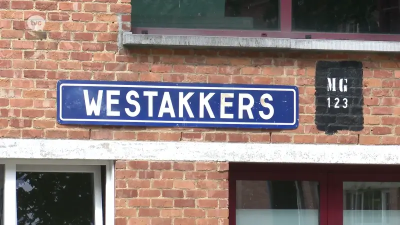 Hoofdafbeelding voor artikel Schepen Peter Buysrogge (N-VA)…