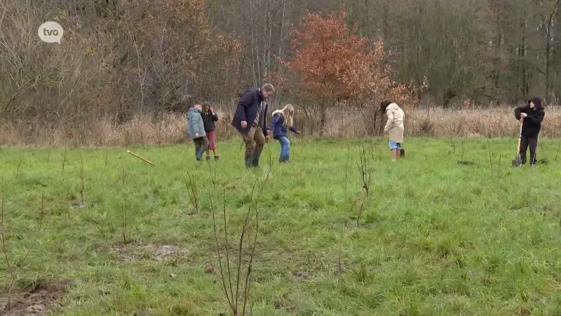 Provincie plant 1.400 bomen en struiken aan in Nieuwdonk