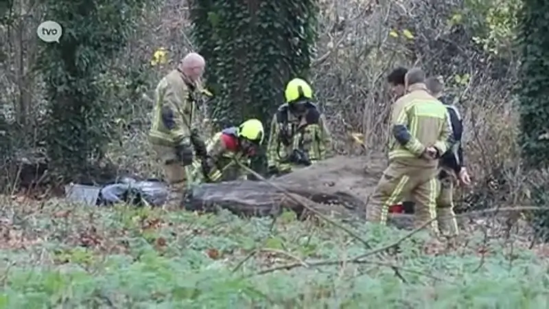 Politie en parket onderzoeken brandstichting in bos naast hockeyterreinen in Temse