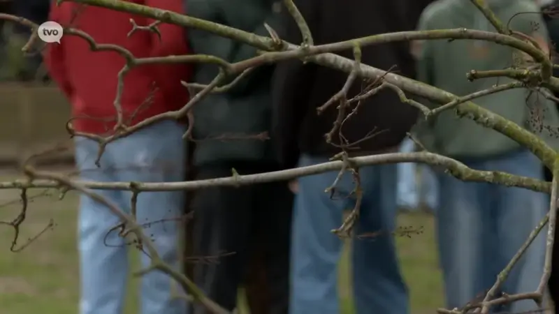 Hoofdafbeelding voor artikel Tina Van Havere (Vooruit)…