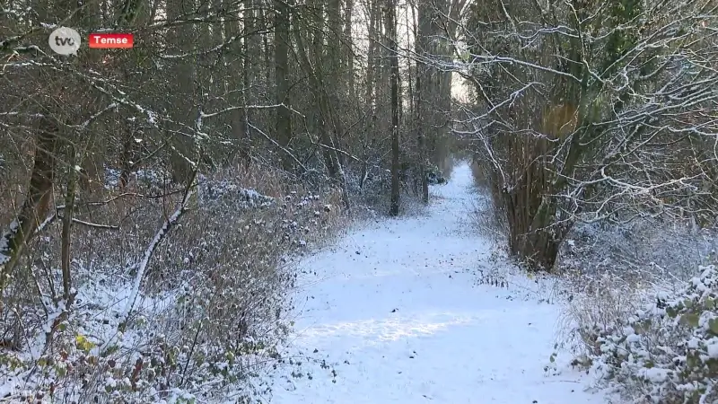 Hoofdafbeelding voor artikel Winterbeelden in de Wase velden