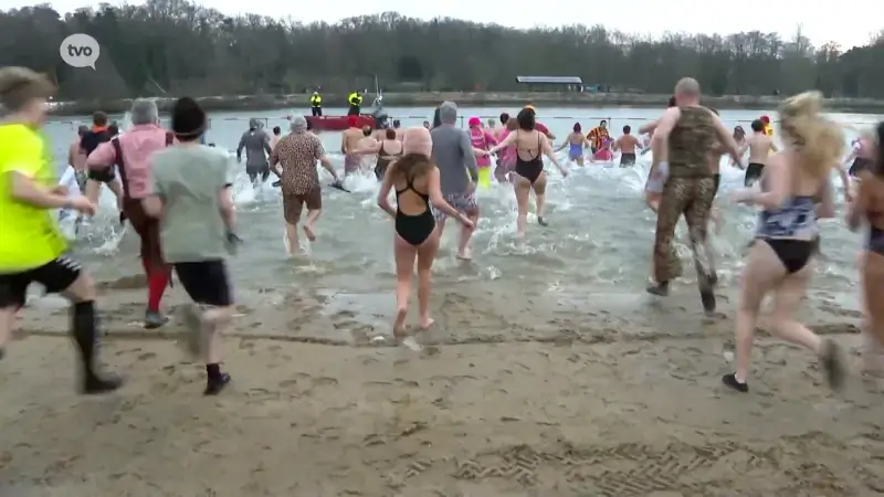 Hoofdafbeelding voor artikel Wase Ijsberenduik in de vrieskou:…