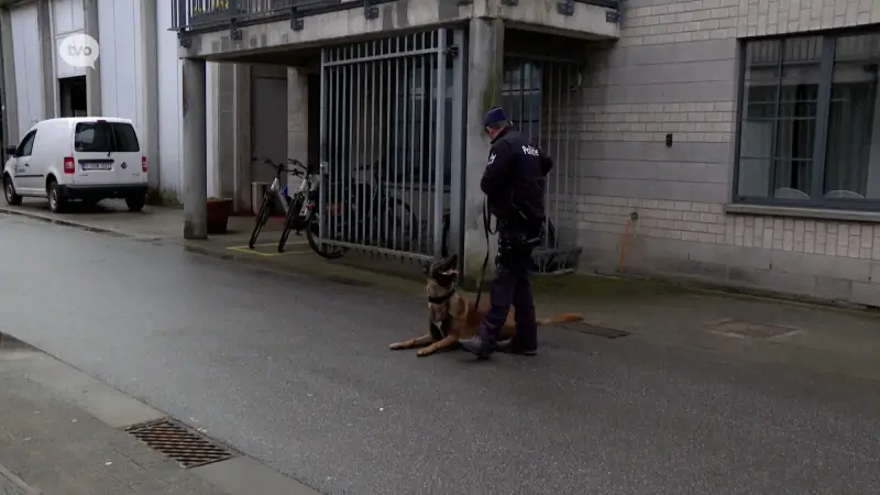 Hoofdafbeelding voor artikel Drugshond Argos van politiezone…