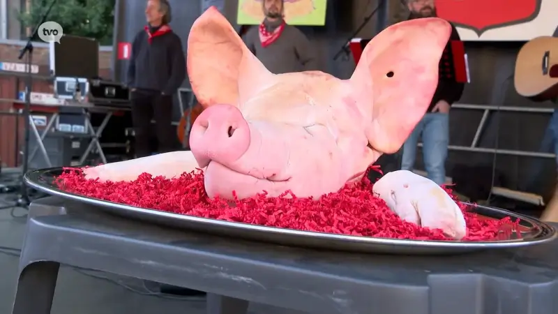 Hoofdafbeelding voor artikel Sint-Antonius brengt het beste…