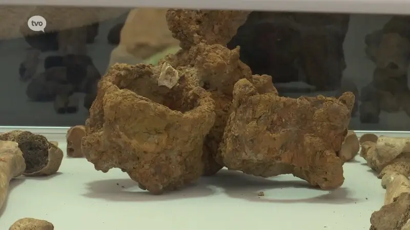 Hoofdafbeelding voor artikel Uitzonderlijke vondst van…