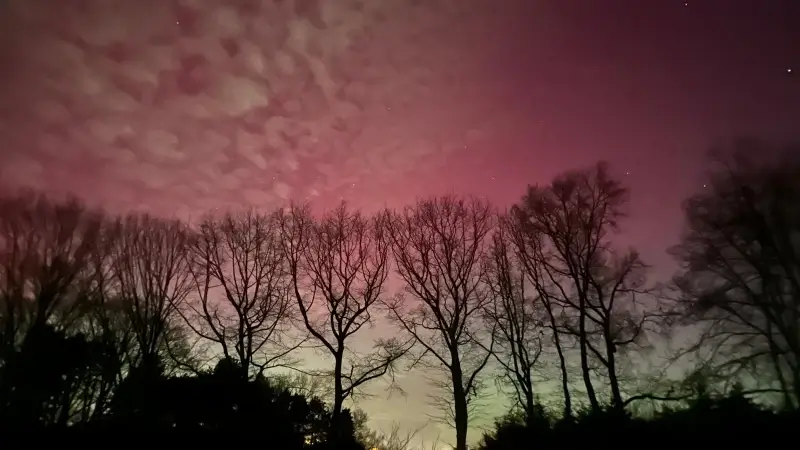 Hoofdafbeelding voor artikel Zeldzaam noorderlicht levert…