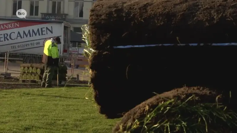 Hoofdafbeelding voor artikel Grasmatten kleuren de Grote…