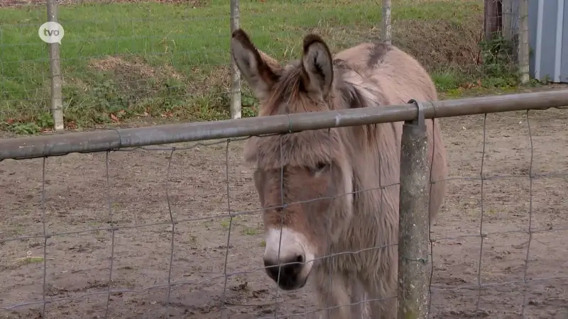 Hoofdafbeelding voor artikel 47-jarige Belg aangehouden…