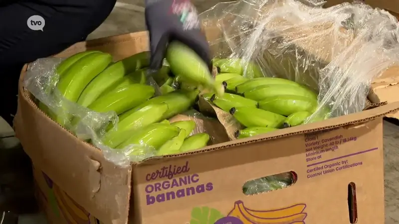 Hoofdafbeelding voor artikel Meer cannabis vanuit Canada,…