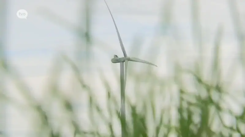 Hoofdafbeelding voor artikel Geraardsbergen stopt windenergieproject…