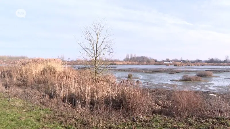 Hoofdafbeelding voor artikel Vrederechter stelt Nederlandse…