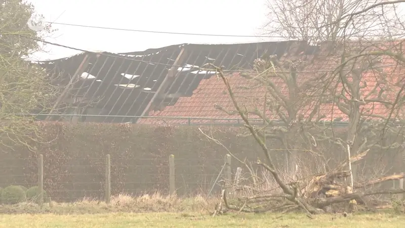 Hoofdafbeelding voor artikel Stallen in Zottegemse boerderij…