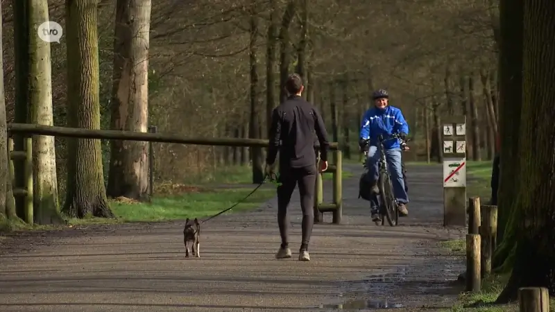 Hoofdafbeelding voor artikel Strenger toezicht op loslopende…