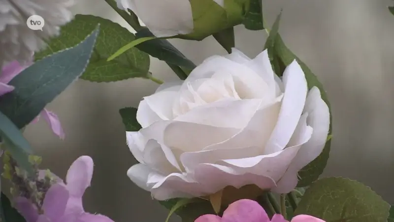 Hoofdafbeelding voor artikel Doodrijder Francis Aerts krijgt…