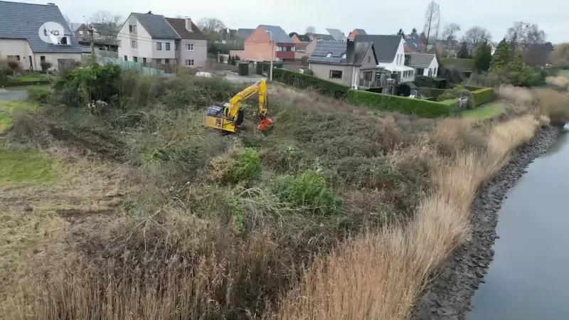 Hoofdafbeelding voor artikel Grote ontbossing van start…