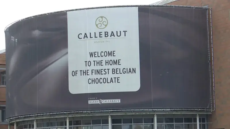 Hoofdafbeelding voor artikel Chocoladeproducent Barry Callebaut…