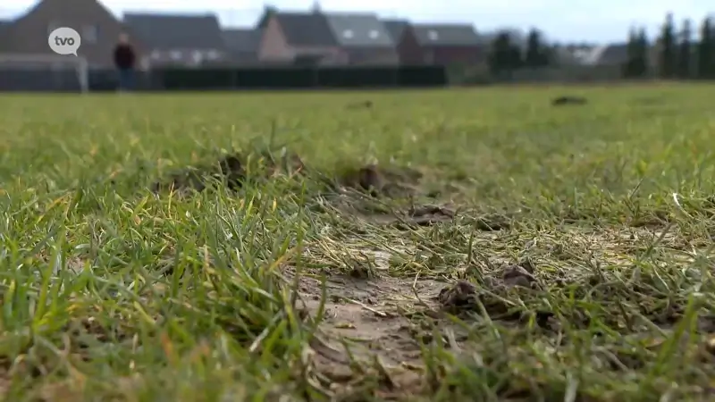 Hoofdafbeelding voor artikel Oproep naar getuigen in Hamme:…