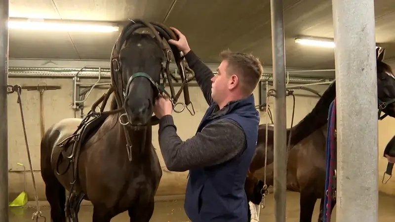 Hoofdafbeelding voor artikel World Cup Finale vierspanmennen…