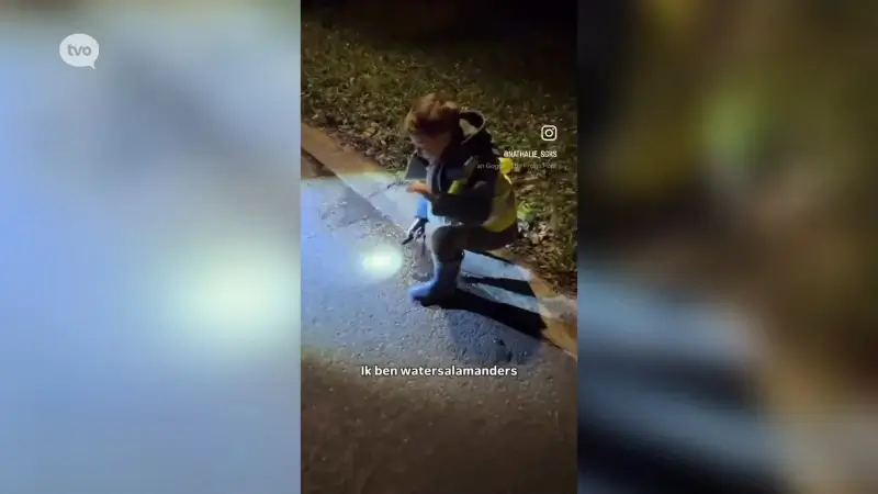 Pad zoekt partner: de jaarlijkse paddentrek gaat weer beginnen 