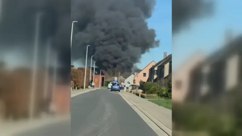 Beperkt asbest vrijgekomen na stalbrand in Haasdonk: "Eén persoon naar ziekenhuis, geen dieren betrokken"
