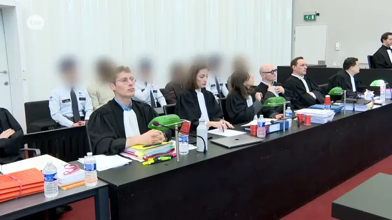 Hoofdafbeelding voor artikel Assisen Polfliet: Speurders…