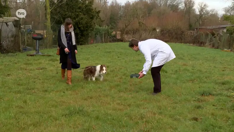 Hoofdafbeelding voor artikel Degomeat uit Aalst nu ook…