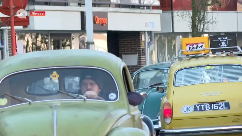 Hoofdafbeelding voor artikel 800 Kevers overspoelen Ninove:…