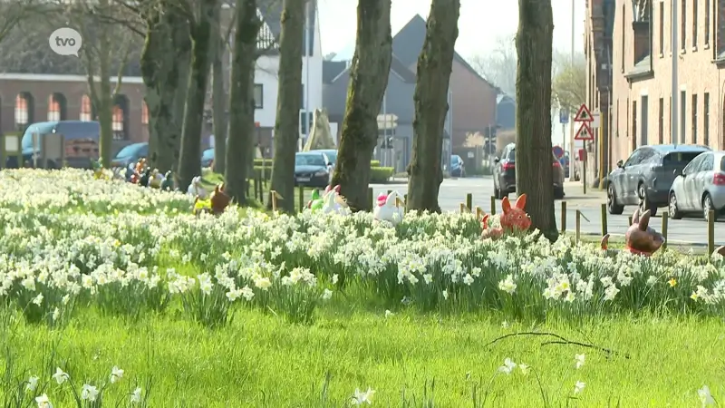 Paasbloemen in Opdorp in volle bloei, met enkele opvallende kunstwerken tussen