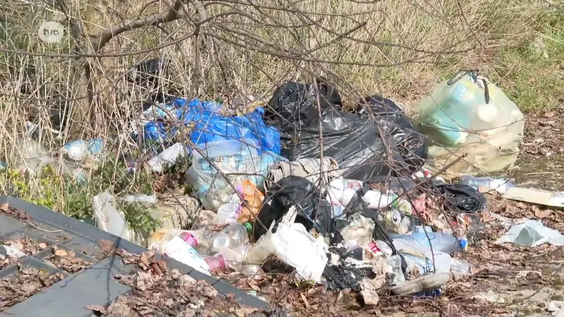 Triest record van 1 miljoen kg zwerfvuil brengt burgemeesters Denderstreek samen