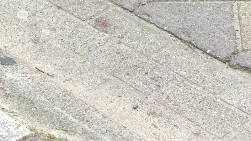 Hoofdafbeelding voor artikel Vader neergestoken na ruzie…