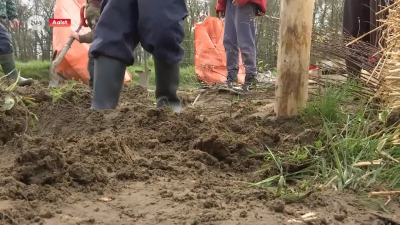 Leerlingen Steinerschool in Aalst planten eigen microbos: "Zo kunnen de dieren bessen en bladeren eten"
