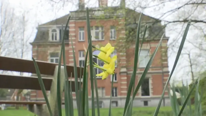 Stad Lokeren op zoek naar nieuwe bestemming voor Kasteel Lippens in Moerbeke