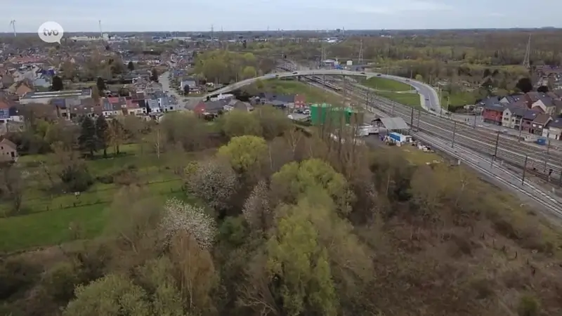 Gemeente Denderleeuw houdt plannen tegen voor site Sypenkouter met 99 appartementen en 25 woningen