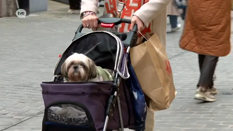 Hoofdafbeelding voor artikel Voorjaarsverkoop daalt met…