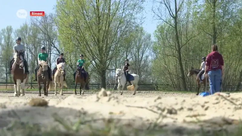 Het leven is hier wél een ponykamp: "Meer dan gewoon paardrijden"
