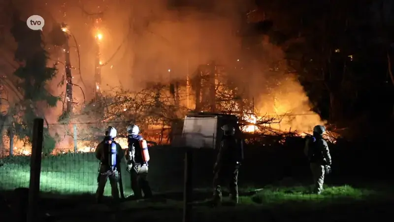 Hevige brand verwoest sparrenbos in Denderhoutem