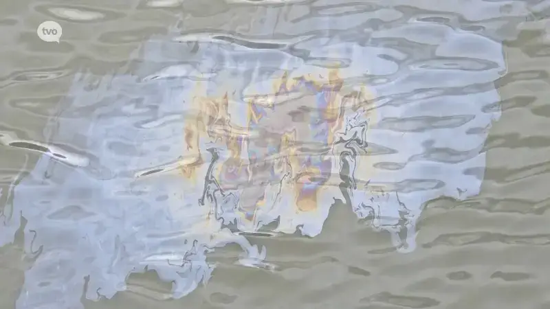 Hoofdafbeelding voor artikel Groot olielek in Waaslandhaven:…