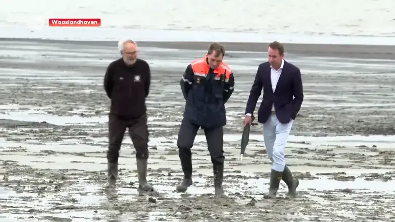 Minister Jo Brouns (cd&v) over vervuiling in Waaslandhaven: "Focus is om broedgebieden van vogels maximaal te vrijwaren"