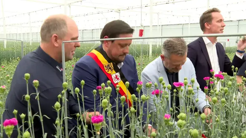 Familiebedrijf Anjers De Nijs uit Erpe-Mere blijft innoveren, minister Brouns (cd&v): "Vlaamse sierteelt verdient ondersteuning"