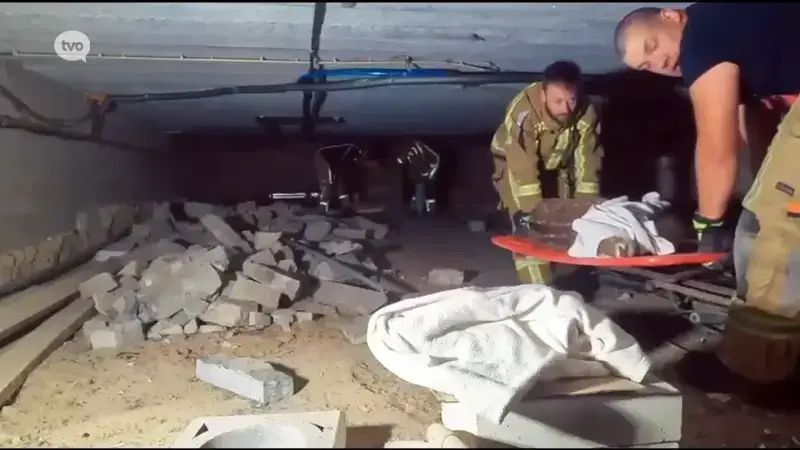 Hoofdafbeelding voor artikel SOS Wilde Dieren redt samen…