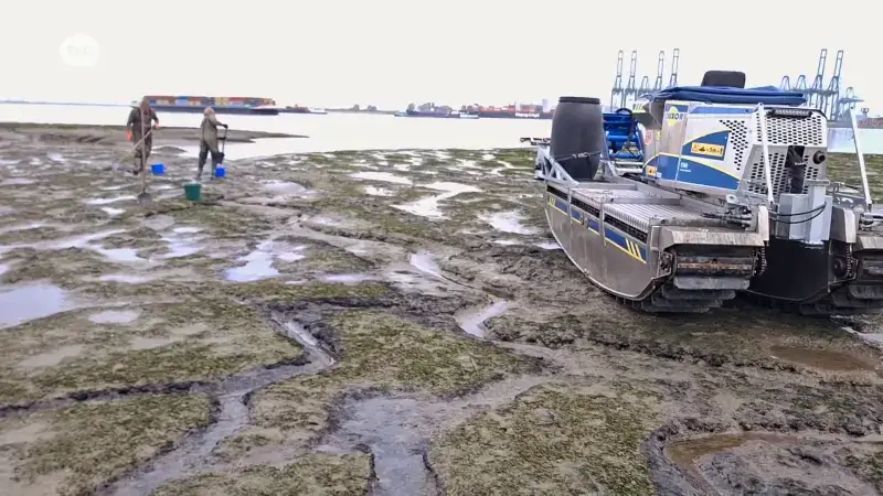 Hoofdafbeelding voor artikel Dinsdag, na het springtij,…